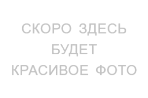17. Зимняя рыбалка